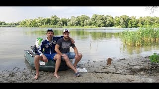 Ссылка
