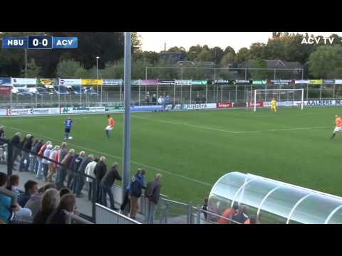 Samenvatting Nieuw Buinen-ACV