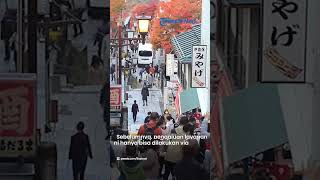 Kabar Baik! Turis Indonesia Kini Bisa ke Jepang Bebas Visa, Begini Caranya Registrasi E-paspor