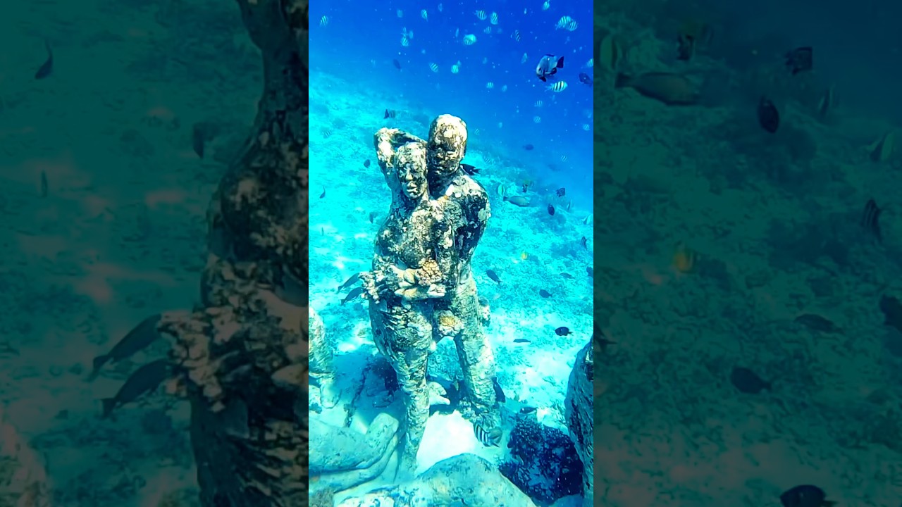 YouTube Short thumbnail