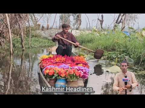 🌸 Seller  Man Bashir Ahmad Akhoon sells beautiful flowers Since 50 Years  from his small boat 