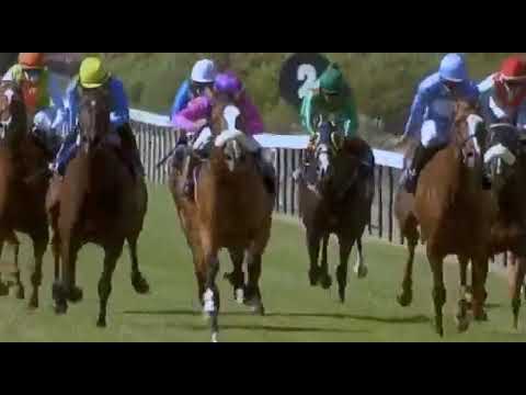 Captain's Ransom (SAF) 【キャプテンランサム】 Majorca Stakes G1  2021