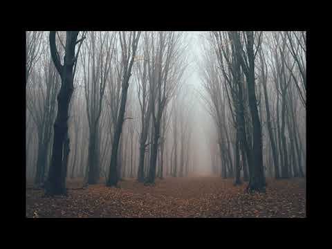 Bass Tagelharpa + Flute