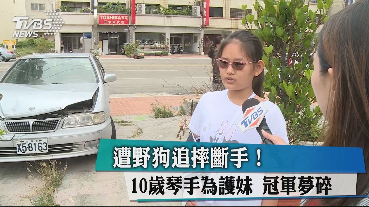 遭野狗追摔斷手! 10歲琴手為護妹 冠軍夢碎