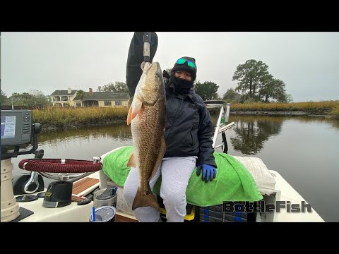 27 inch Redfish Times 2, Jacksonville, Florida. Pablo Creek and ICW, shallow water fishing DOA Jib