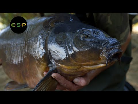 Karpefiskeri med Terry Hearn: Tunnel Vision