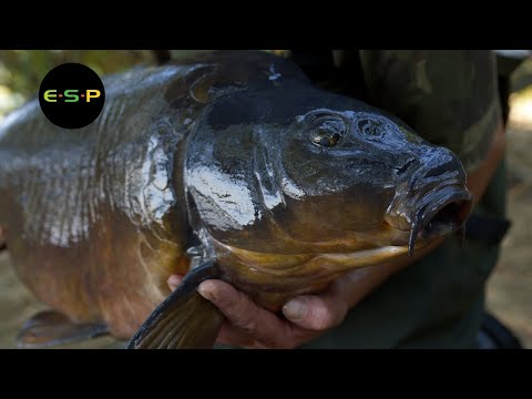 Terry Hearn - Tunnel Vision - Iconic Carp Fishing