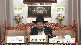 הרב דוד גבאי | מידות והשקפה | בית הכנסת מוסאיוף (בית הכנסת מוסאיוף) - התמונה מוצגת ישירות מתוך אתר האינטרנט יוטיוב. זכויות היוצרים בתמונה שייכות ליוצרה. קישור קרדיט למקור התוכן נמצא בתוך דף הסרטון