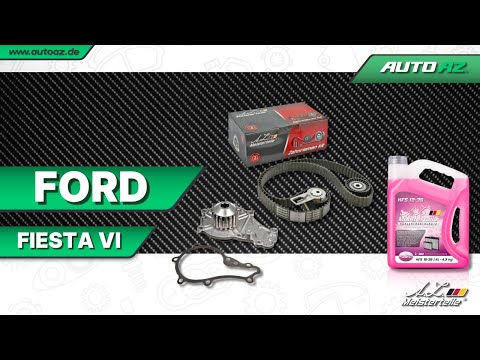 Ford Fiesta VI - Steuerungseinstellung