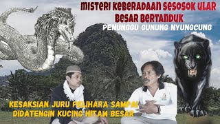 Download lagu MISTERI SESOSOK ULAR BESAR BERTANDUK PENUNGGU GUNUNG NYUNGCUNG I rumpin bogor mp3
