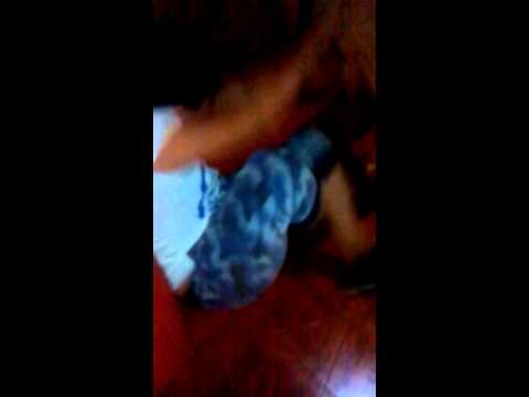 A NIÑO LE HACEN BULLING X DAUN.