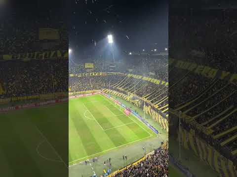 "Recibimiento de Peñarol vs Racing en el estadio Campeón del Siglo. Copa Libertadores" Barra: Barra Amsterdam &bull; Club: Peñarol &bull; País: Uruguay