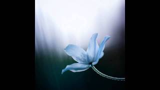 Trevor Rockcliffe feat. Blake Baxter - Visions Of You (Carl Cox Remix)