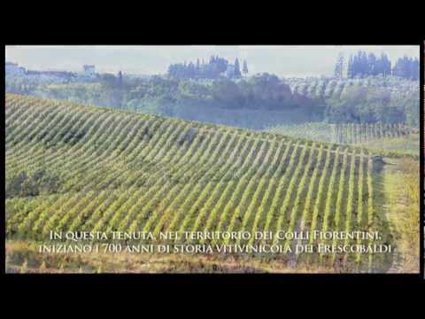 La Tenuta di Castiglioni e i suoi vini - Marchesi de' Frescobaldi