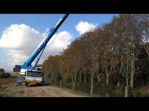 Abattage canal du midi grue de levage