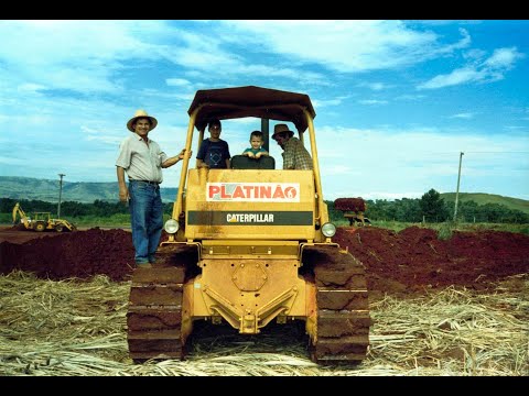 Conheça o Grupo Platinão - Mais de 40 anos de história! 