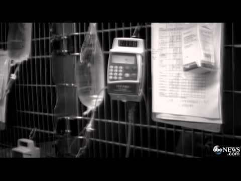 Stray Cat Helps Young Man With Asperger's Syndrome