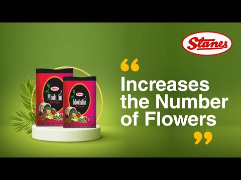 Modulin - Organic Bio-Stimulant