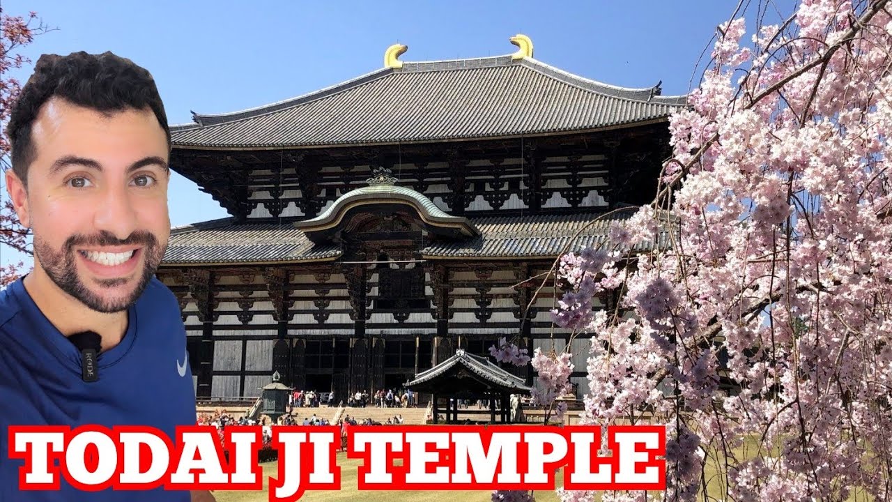 A traveler delves into the mesmerizing beauty of Todai-ji Temple.