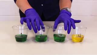 Blue Not Flu - Disease Transmission and Outbreak Investigation Activity - Mucous Swap