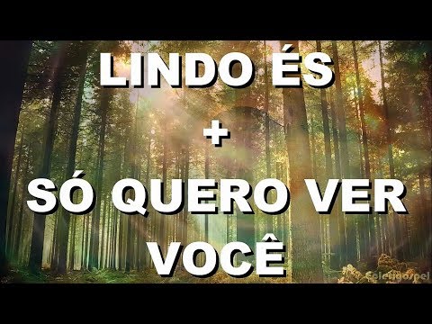Lindo és + Só quero ver você - Juliano Son (Letra)
