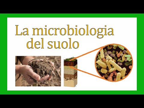 , title : 'La microbiologia del suolo - ScienzaFestival #9'
