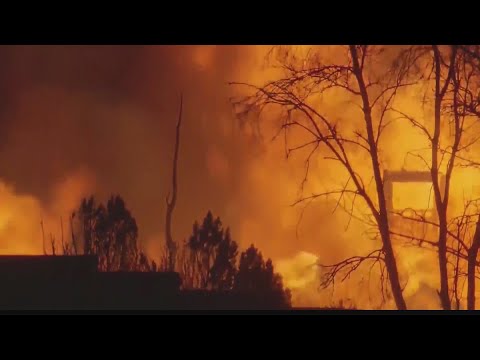 Wildfires burn hundreds of homes in Colorado, thousands flee