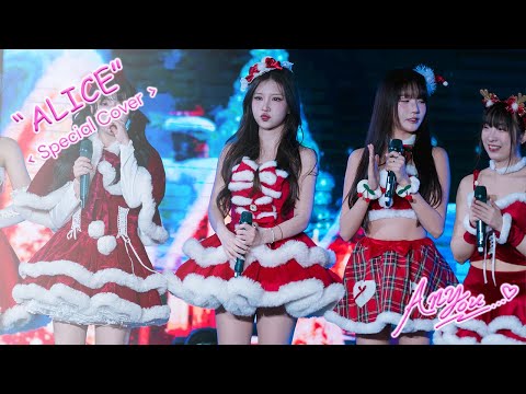 [4K][Fancam] Peach You Alice - Christmas Special Stage @TGG FESTIVAL 2025, The Street, 251228