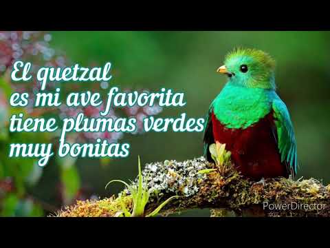 El Quetzal(cover)/Karaoke Pista/canción guatemalteca para niños