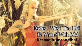 Ke$ha - What The Hell (Is Wrong With Me) *NEW SONG 2013**