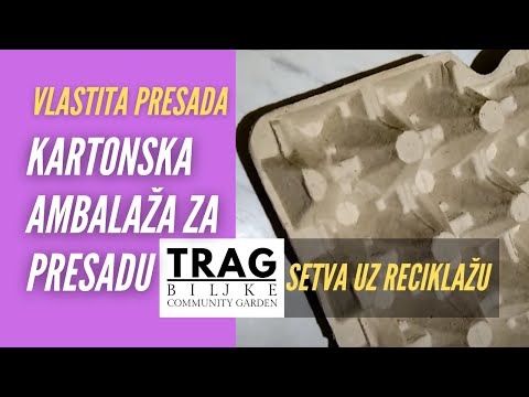 CARDBOARD PACKAGING FOR TRANSPLANTS (2021) [TRACE OF THE PLANT]