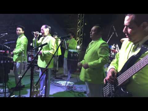 La Negra Celina & Cumbia Del Chinito -- Super Grupo Colombia San Miguel Coatlinchan 2016