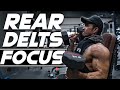 FULL SHOULDER WORKOUT | REAR DELT FOCUSED