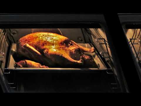 Die dumme Weihnachtsgans