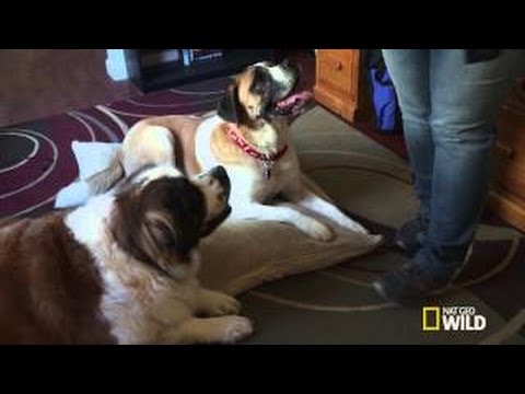 Cesar 911 S2 Episode 6 Follow-Up