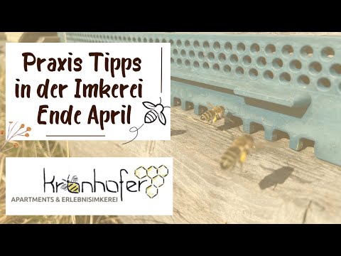 4. Praxis Tipps - Schwarmverhinderung mittels Flugling, Video vom Imkerkurs am Litzlhof