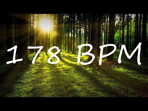 178 BPM Claves Metronome