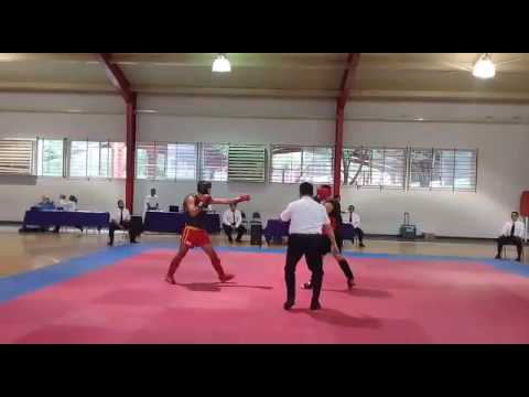 Hiram furukawa sanda