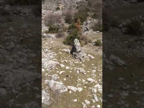 Ne kerkim te Thesarit & Treasure Hunters in Albania