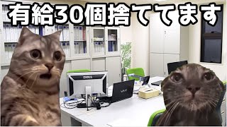 【猫ミーム】沢山の有給消化について！毎年有給30個以上捨ててる先輩のお話・・・葬儀社にアルバイトとして勤めていたお話その62