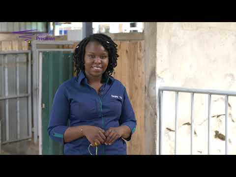 How to make the ideal housing for young stock.