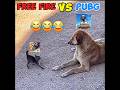 FREE FIRE VS PUBG Freefire