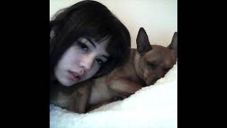 Cover art for neko manma