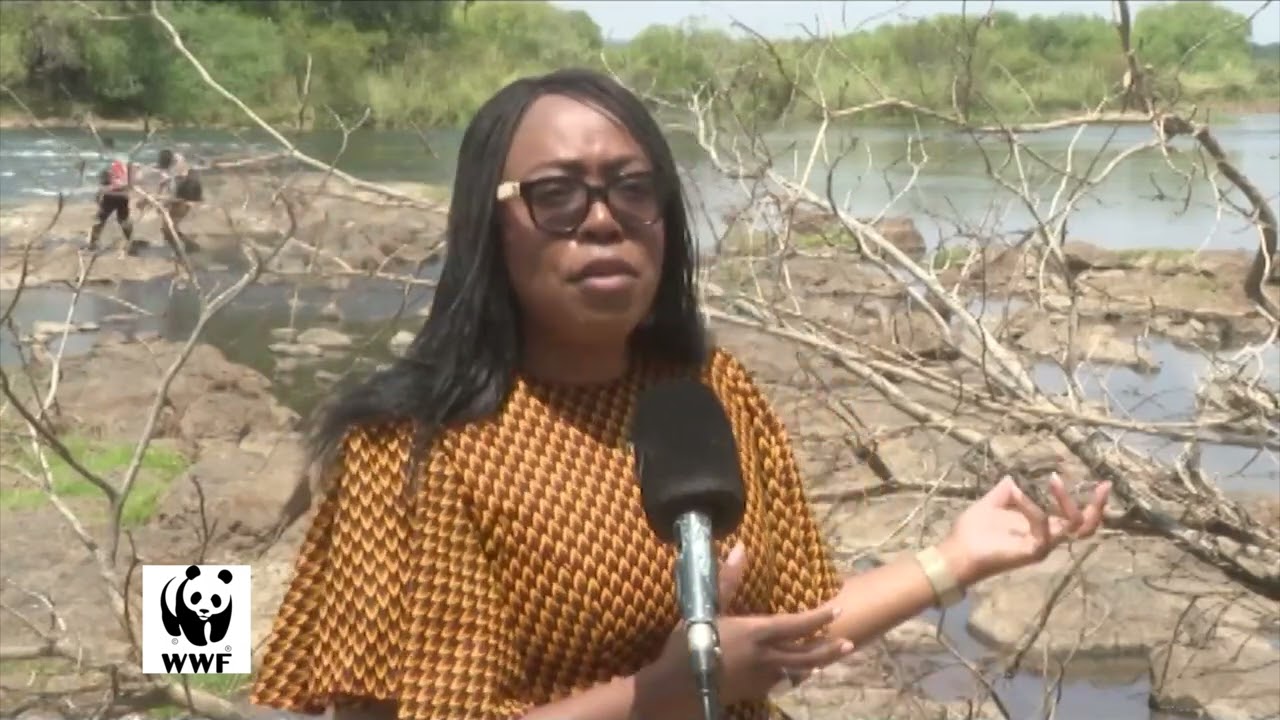 Climate impact on Zambezi River & Ecosystem Restoration significance
