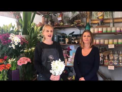 download lagu mp3 mp4 Oatley Florist, download lagu Oatley Florist gratis, unduh video klip Oatley Florist