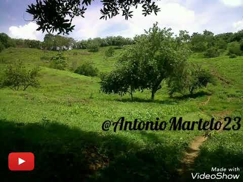La Bomba - Banda Juvenil de Chocho / Sucre.