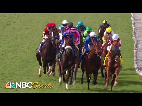 2023/11/5(日) ブリーダーズカップマイル（G1）