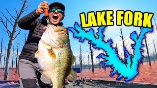 Goal SMASHED!! The Texas State Record Bass Lives Here!