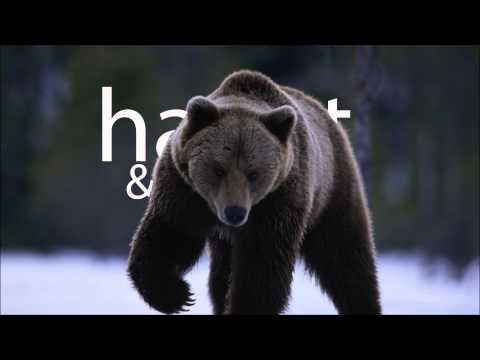 Heamy - Getting Over