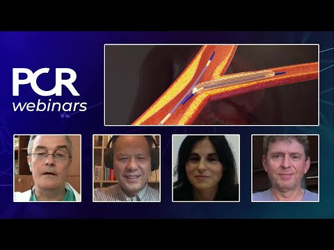 How should I perform a stepwise DK-Crush to achieve optimal results?